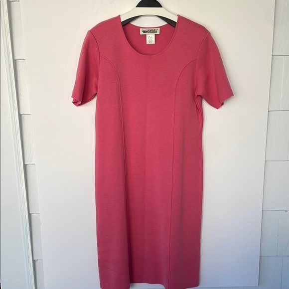 Castleberry for Appleseeds Pink Sheath Dress Wool Blend Size 12 - Picture 1 of 16